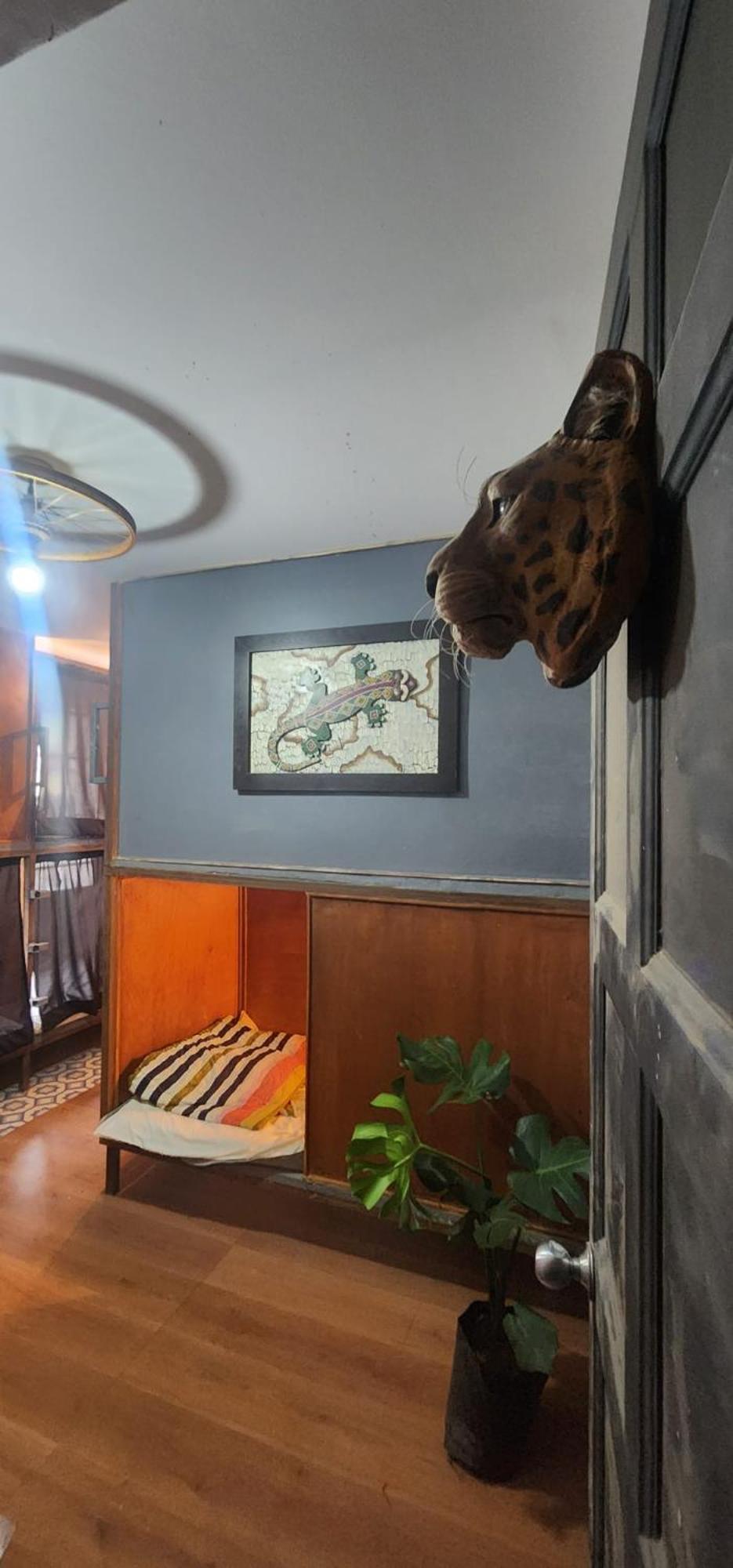 Portelli Hostal Zona G- Para Extranjeros Bogotá Kültér fotó