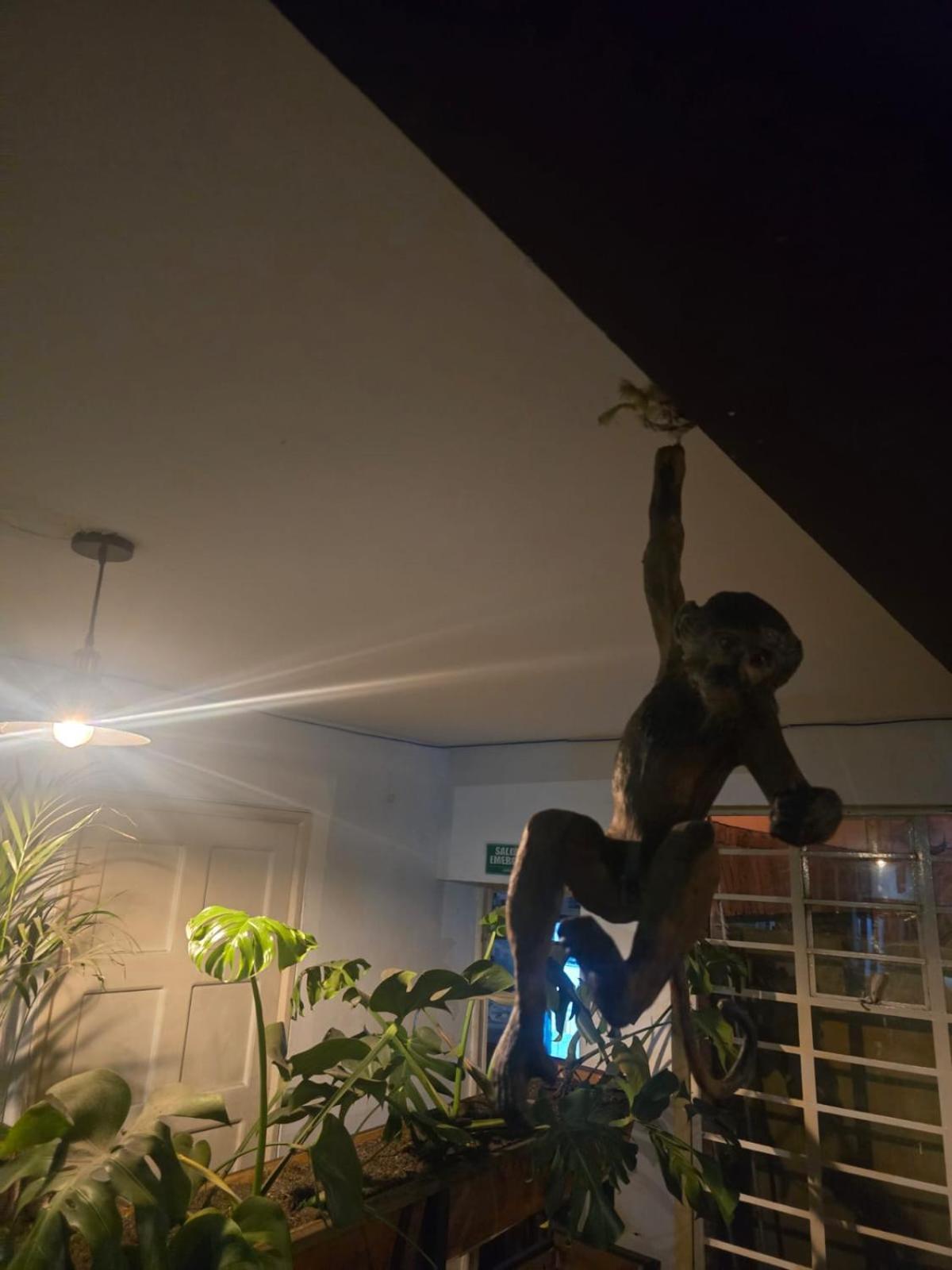 Portelli Hostal Zona G- Para Extranjeros Bogotá Kültér fotó